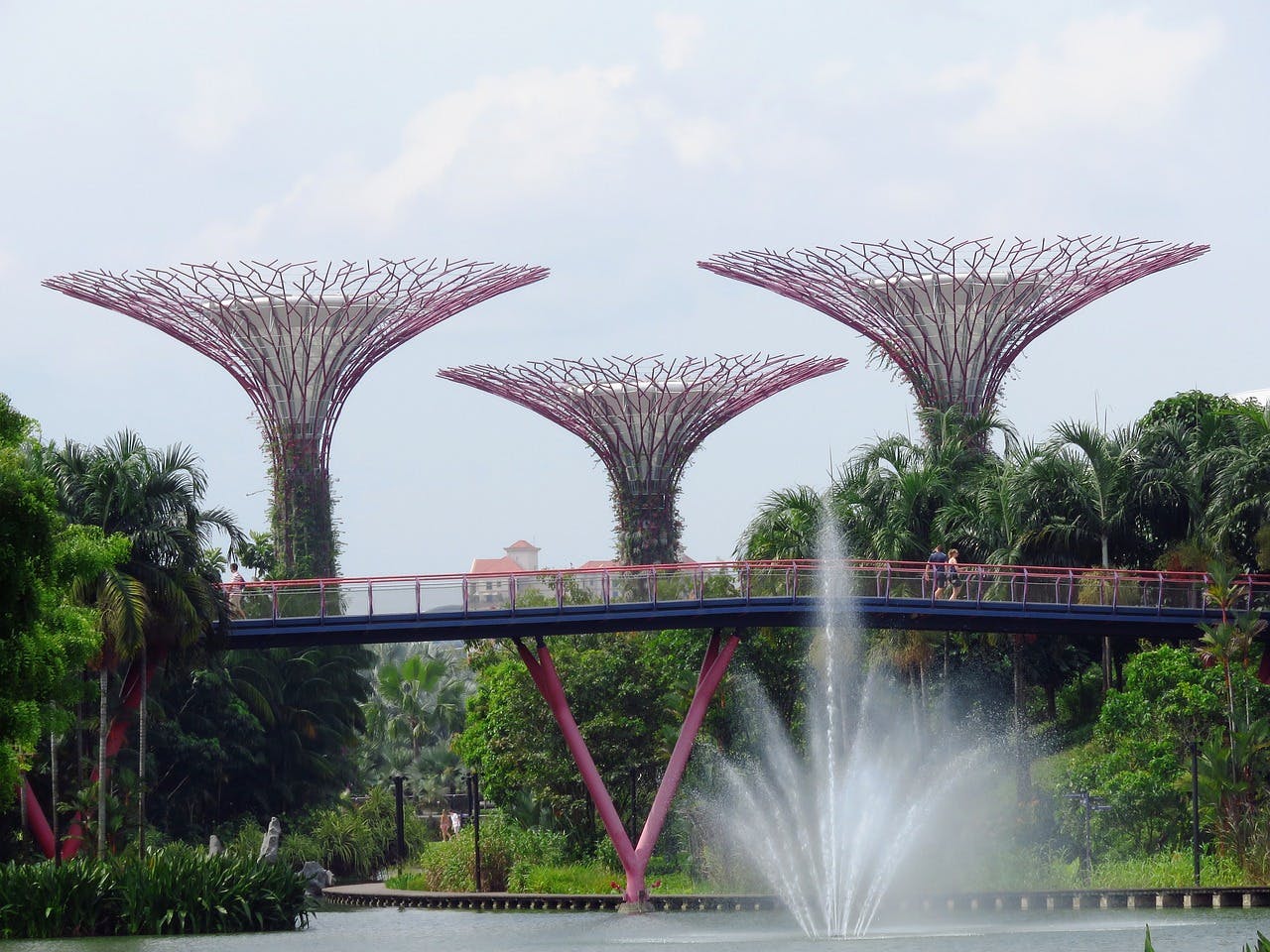 Gardens by the Bay – A Green Wonderland